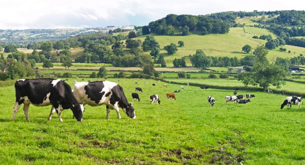 An Taisce Seeks To Overturn Permission For Cheese Plant In Co Kilkenny