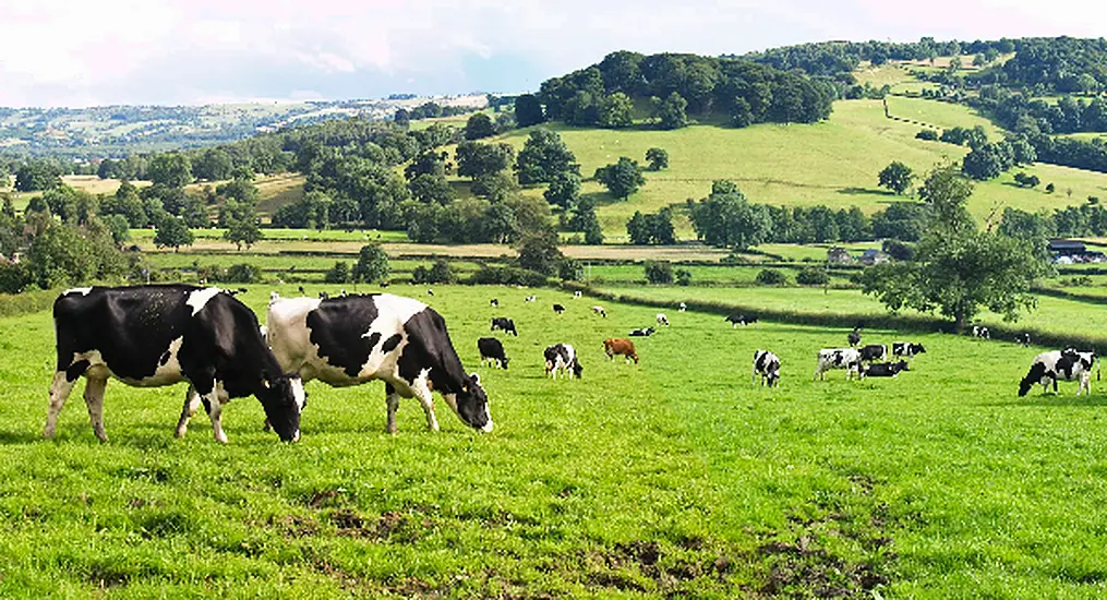 An Taisce Seeks To Overturn Permission For Cheese Plant In Co Kilkenny