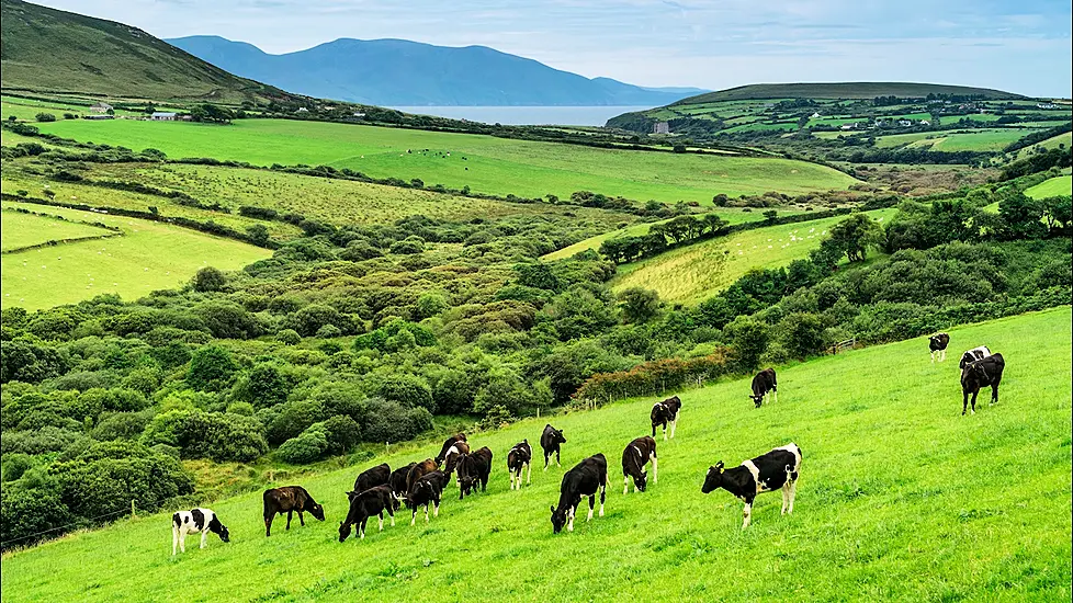 Farmers Should Assess Feed Needs As Supply Chain Disruption Is Expected, Says Minister