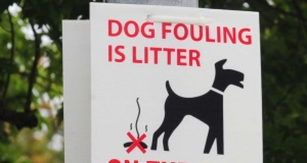 'Sting Operation' Catches Carlow Dog Fouling Offender