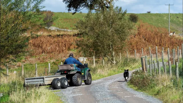 Helmets And Mandatory Training For Those Using Quad Bikes For Work