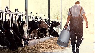Gardaí Advise Farmers 'Not To Take Law Into Their Own Hands' Over Gang Issues
