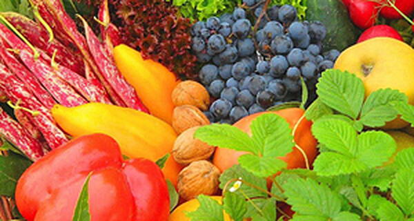 Roscommon Herald — Veg firm ordered to pay €15,000 to worker over excessive working hours - Vimarsana News