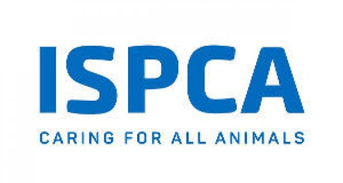 Chairperson Of Ispca Urged To Mediate Dispute Over Her Suspension