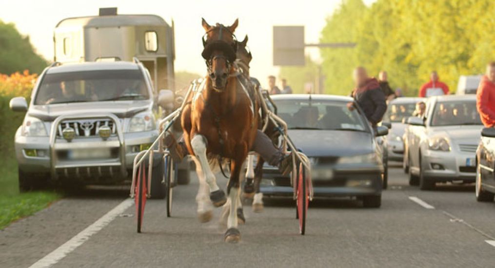 Gardaí Appeal For Information After Dangerous Sulky Race Caused Traffic Chaos