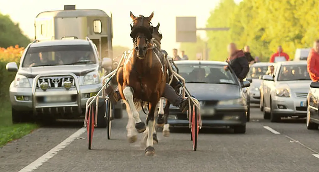 Gardaí Appeal For Information After Dangerous Sulky Race Caused Traffic Chaos