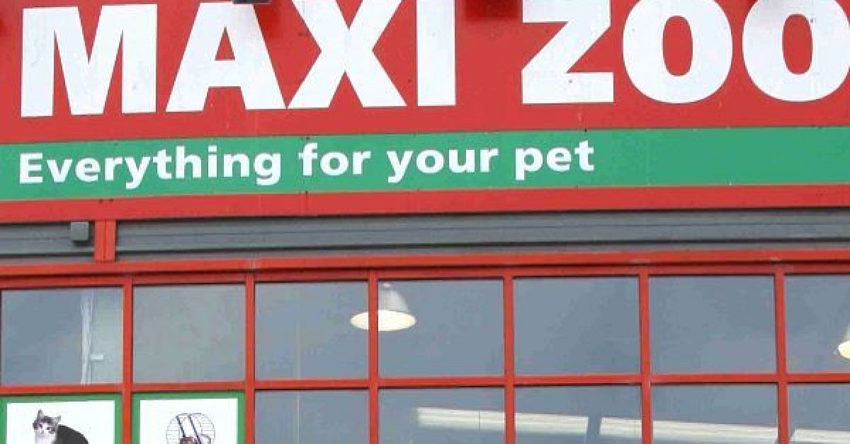 Maxi Zoo Ireland to open ninth store in Dublin | BreakingNews.ie