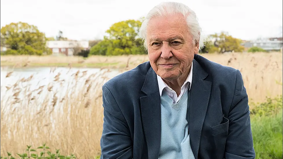 Climate Activists Urge David Attenborough Not To Close Instagram Account