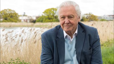 Climate Activists Urge David Attenborough Not To Close Instagram Account
