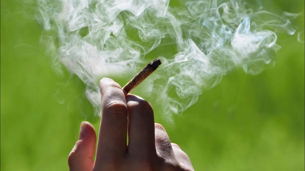 Cannabis Use Linked To Iq Decline In Young People