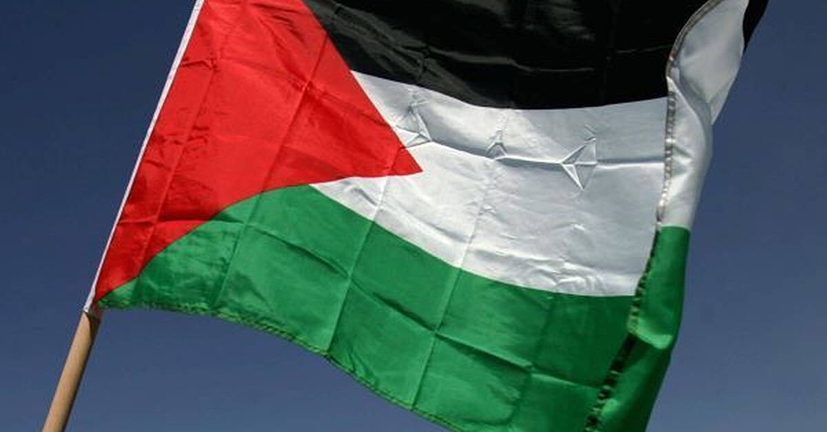 Independent councillors slam vote against flying Palestinian flag over Dublin's City Hall as 'farcical' - Vimarsana News