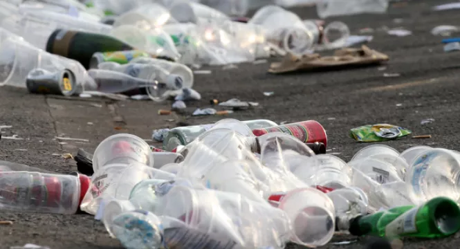Fewer Litter Blackspots In Cities And Towns, According To New Survey