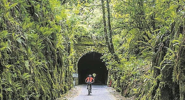 Roscommon Herald — Waterford Greenway named Ireland's Best Visitor Attraction - Vimarsana News