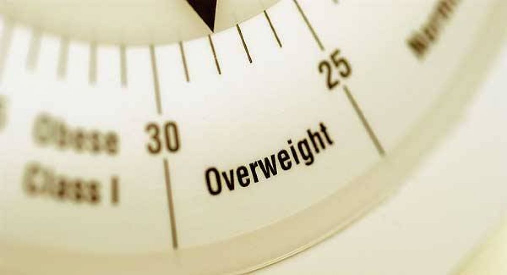 Government Needs To Re-Double Efforts To Tackle Obesity - Safefood