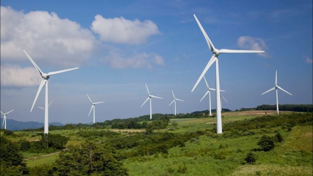 Renewables Firm Asks Court To Declare State Has 'Failed' To Approve Enough Green Energy Projects