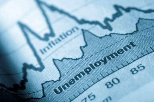 Unemployment Rate For December Stood At 20.4%