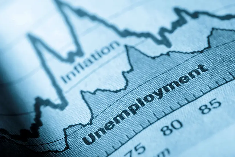 Unemployment Rate For December Stood At 20.4%