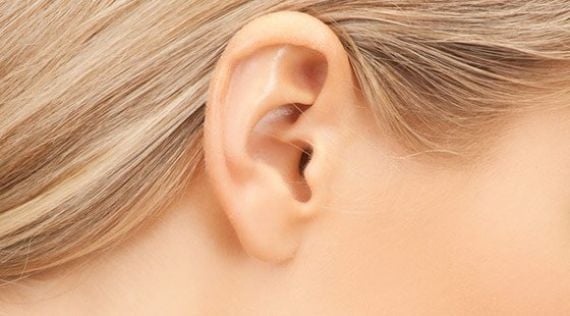 <p>Otoplasty<br />
 <small>(Ear Pinning)</small></p>