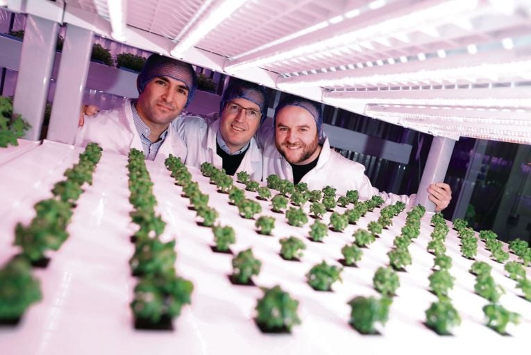 Making it Work: Sky’s the limit for vertical farming agritech firm