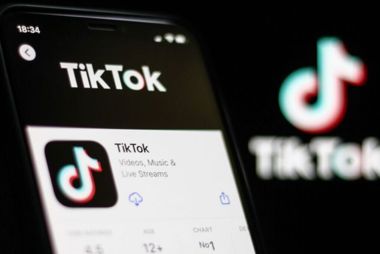 TikTok resistant to EU proposals for greater transparency and legal liability for platforms