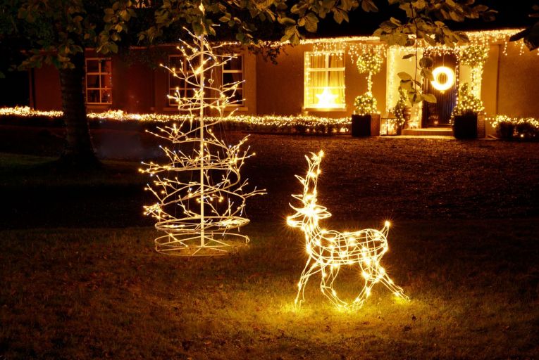 You may wish to create a winter wonderland outside with a choice of LED reindeer, LED twig trees or wicker deer