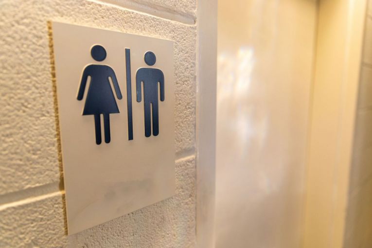 Gender neutral toilets in the pipeline for Leinster House