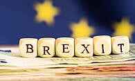 Urgent legislation put on ice until after Brexit bill Urgent legislation put on ice until after Brexit bill