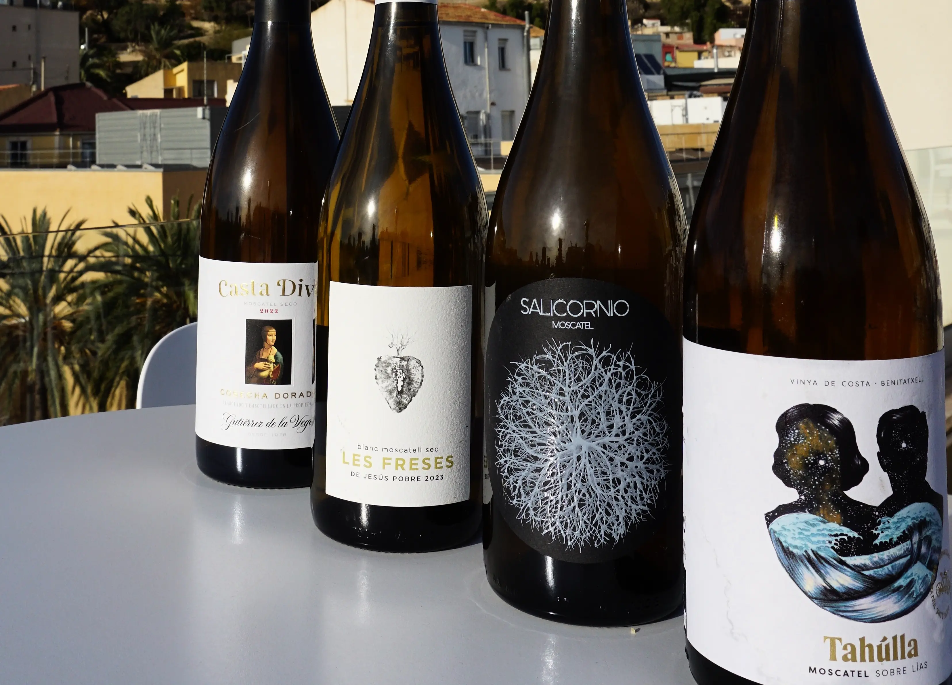 CATA SALVAJE – Vinos naturales de Casa Balaguer
