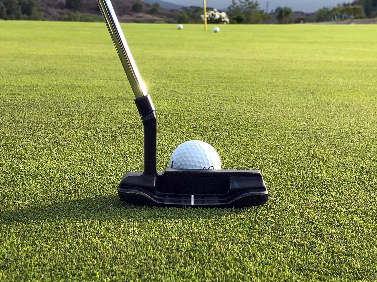 Precise Putting - Adult Putting Lessons