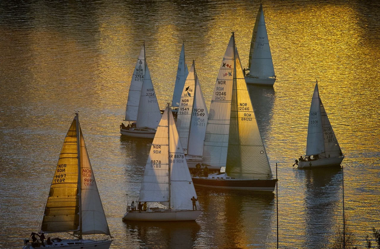 Beginner Adult Sailing Course