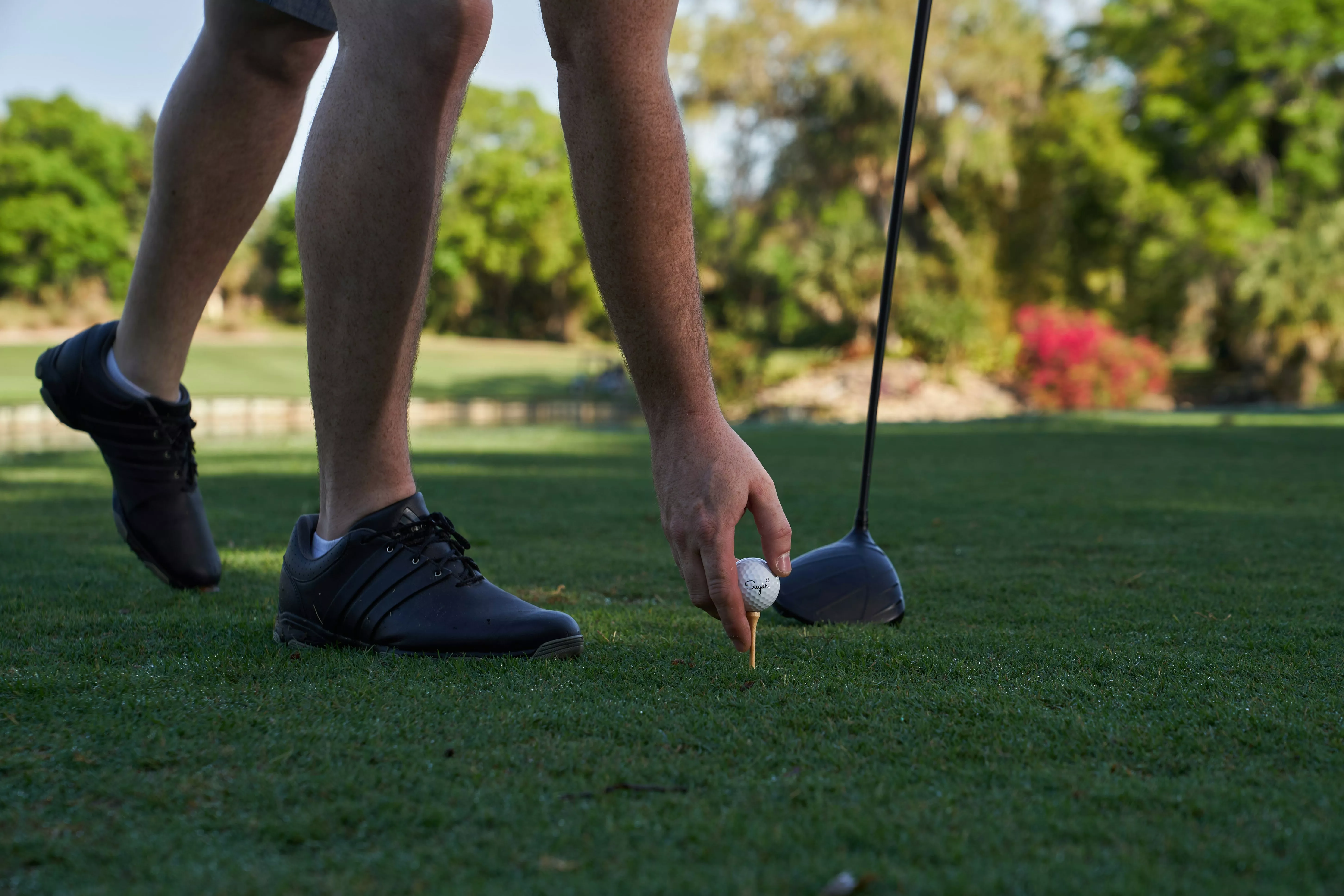 Annual Golf Day Fundraiser