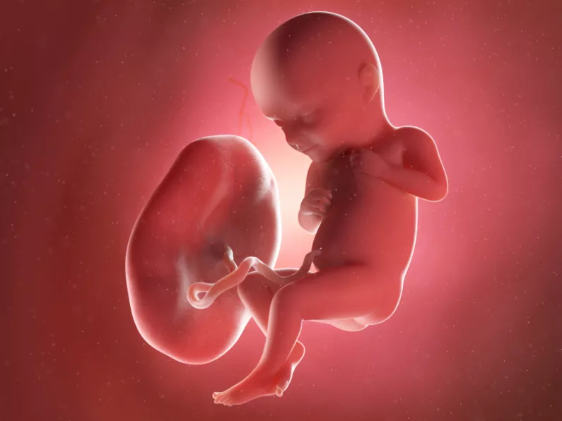 Tracking your baby's movements in the womb