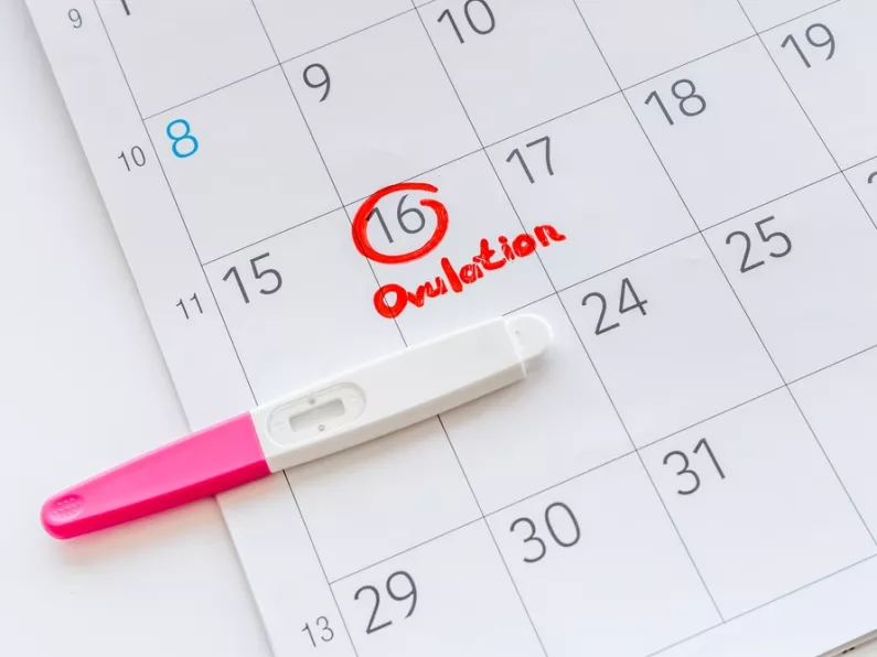 Ovulation tracker: everything you need to know