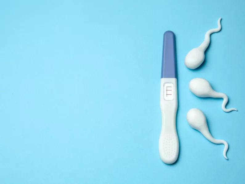 Male fertility and healthy sperm