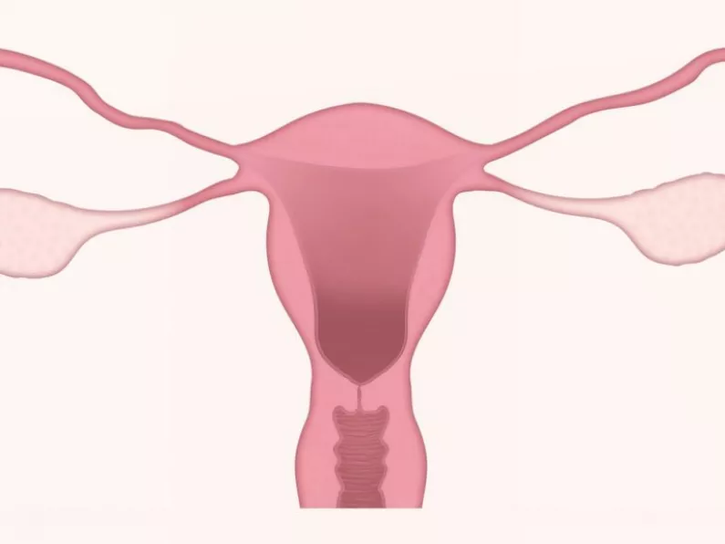 What is anovulation and can it be treated?