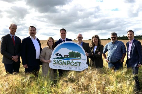 Drinks Ireland Partners With Teagasc Signpost Programme To Support Irish Grain Sustainability