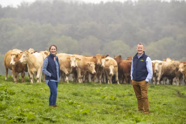 Dawn Meats To Invest €100m In Net-Zero Climate Commitment