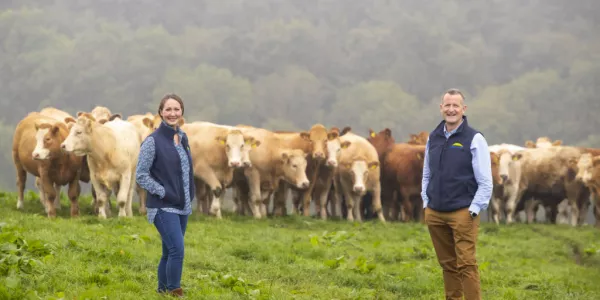 Dawn Meats To Invest €100m In Net-Zero Climate Commitment