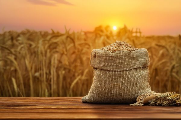 India Plans To Relax Wheat Procurement Norms To Replenish Stocks