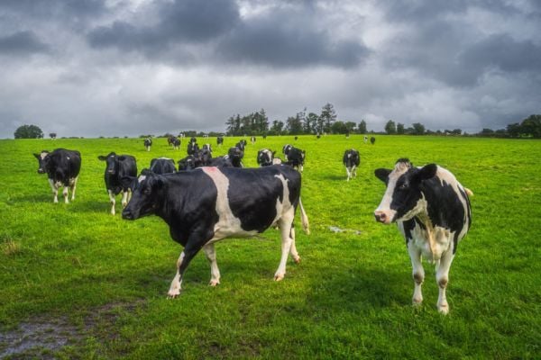 Teagasc Reports Drop In Farm Incomes In 2023