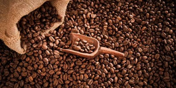 Brazil Coffee Harvest Advances Quickly As Lower Yield Reported