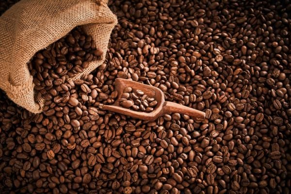 Brazil Coffee Harvest Advances Quickly As Lower Yield Reported