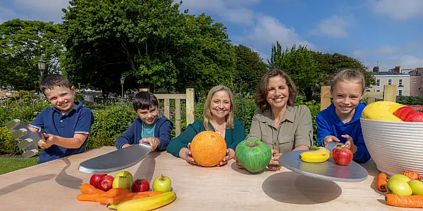 Tesco Ireland Delivers 1m Free Nutritious Meals To Primary School Children