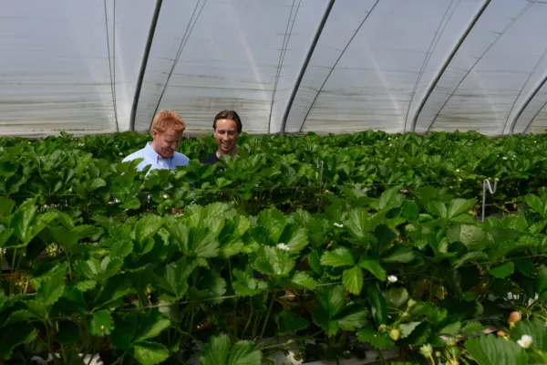 M&S Launches ‘Farm to Foodhall’ Campaign Fronted By Mark Moriarty