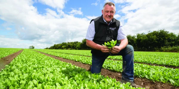Stephen McCormack, MD Of McCormack Family Farms Talks About Growing Organic Produce