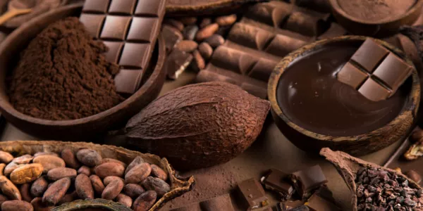 Ivory Coast Cocoa Arrivals Seen Down 28.5% In The First Three Months Of Season