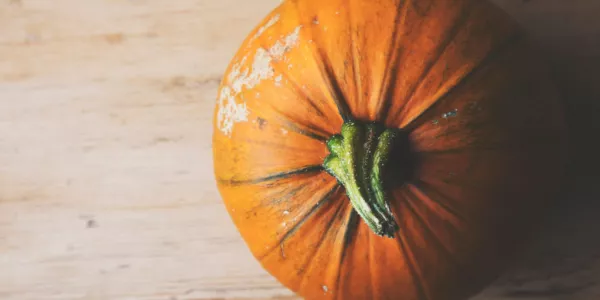 Pumpkins Larger This Year, Notes Tesco UK