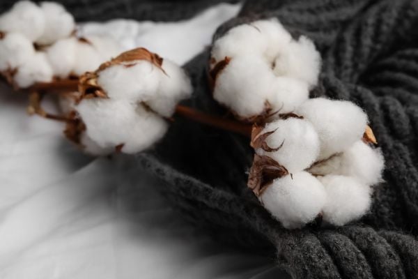 Sustainable Cotton Group Boosts Tracking For Top Retailers