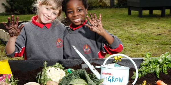 SuperValu And GIY Research Reveals 1/3 Irish Families Growing Food At Home