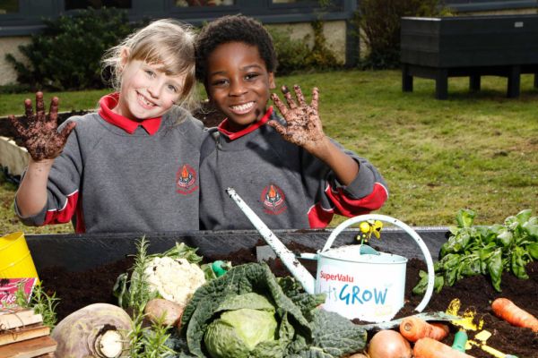 SuperValu And GIY Research Reveals 1/3 Irish Families Growing Food At Home